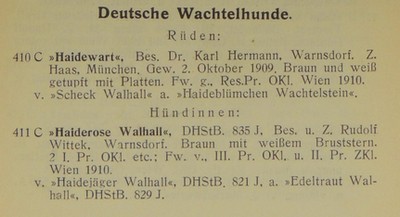 OeHStB 1910 vol 28 band C DW 2