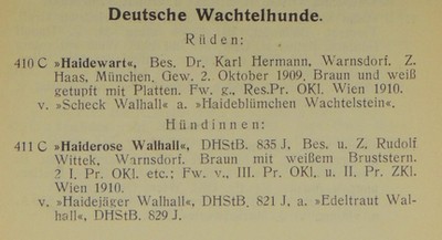 OeHStB 1910 vol 28 band C DW 2