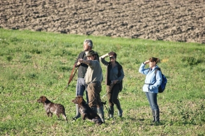 AP_aspach-2012-2