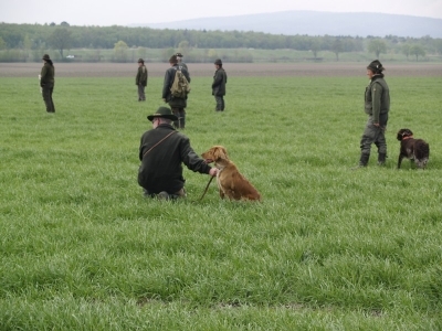 AP_lichtenwoerth-2011
