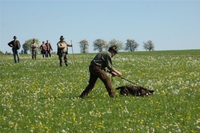 AP_wolfsbach_2009