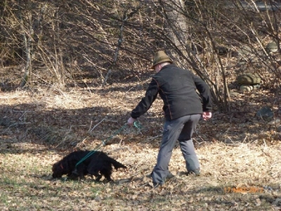 uebung-kaernten-2012-2